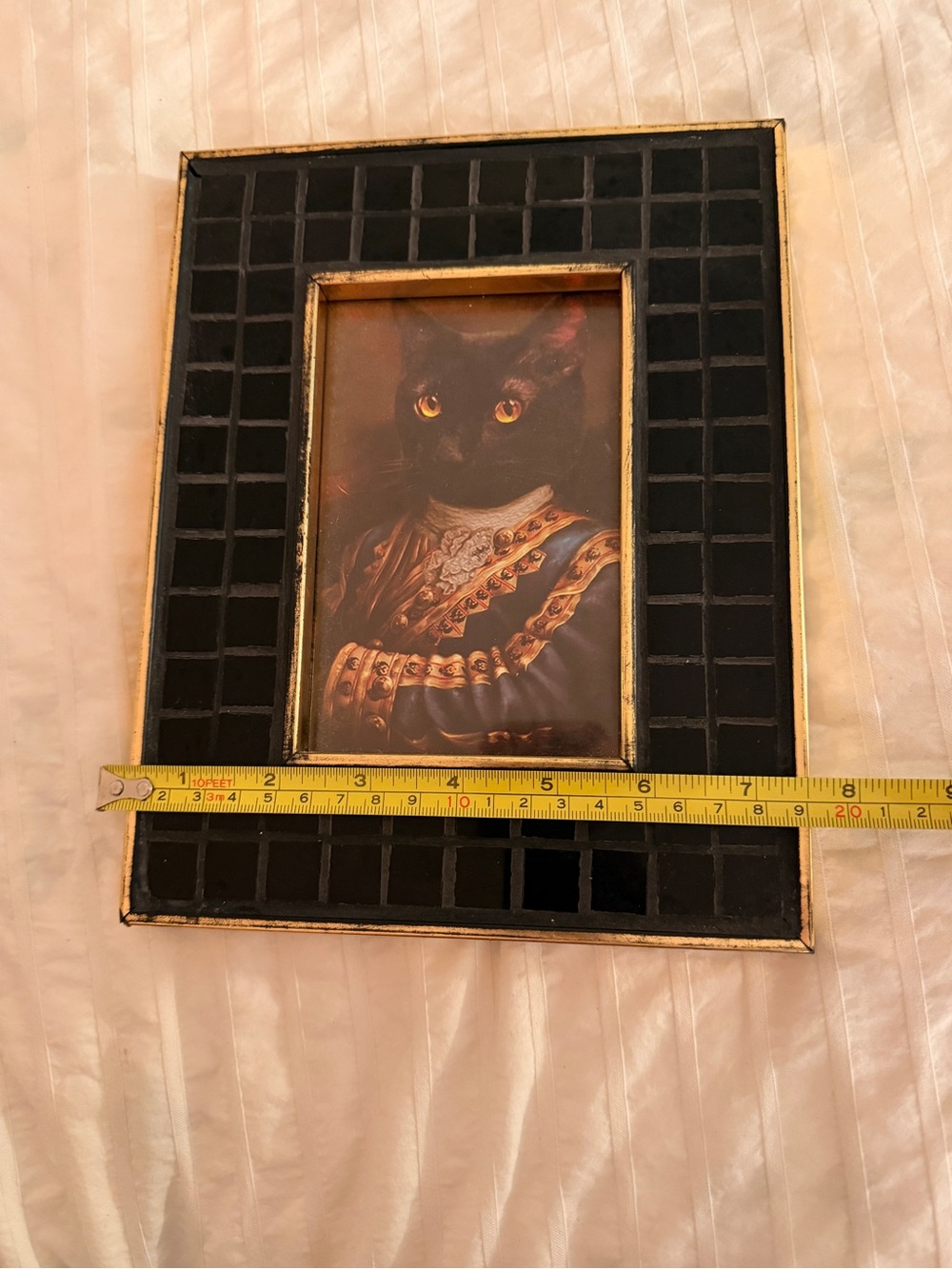Cat Portrait - Picture 4 of 6